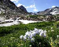 INDIAN PEAKS 03